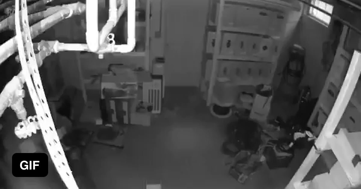 How to hide from the police. LEVEL