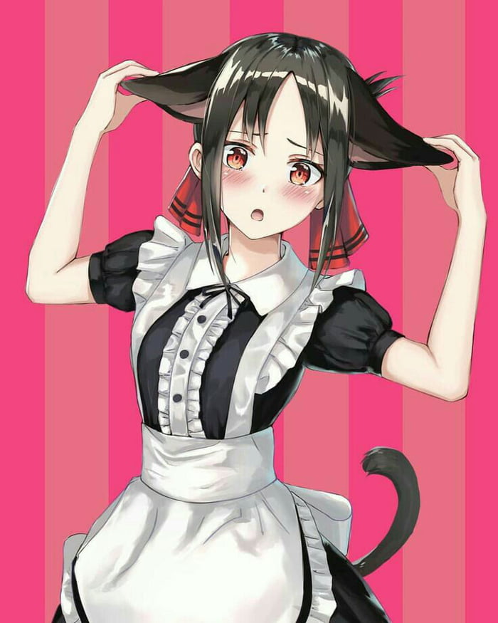 Cat maid kaguya. 9GAG