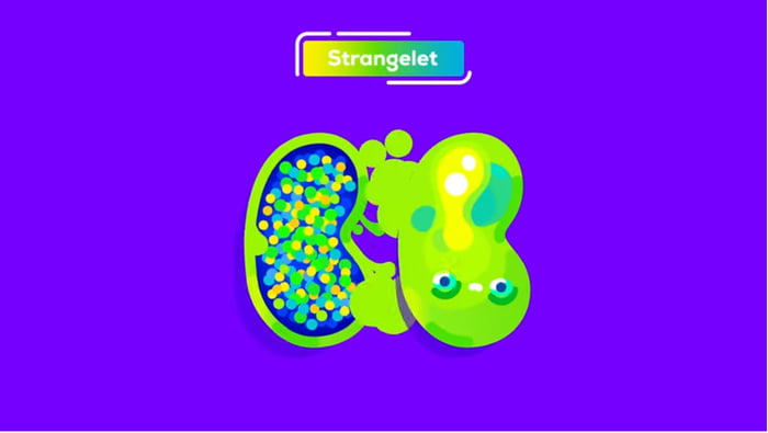 Strangelet; The most Stable type of matter in universe(well... maybe ...