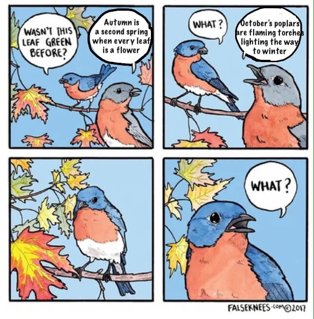 A windy day essay for class 2 picture