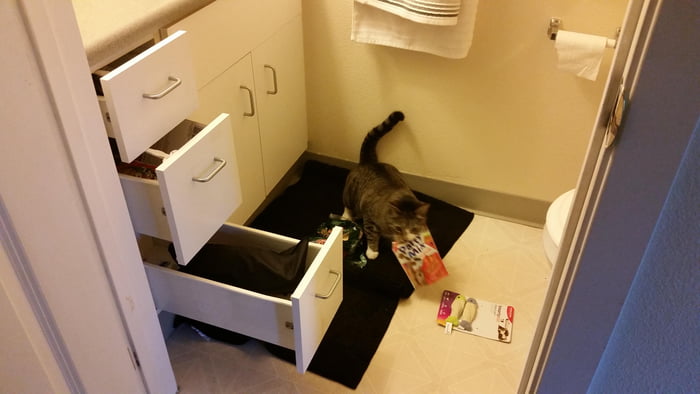 Someone Figured Out How To Get Into Her Treat Drawer GAG