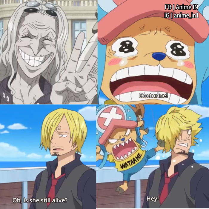 Chopper was shy when Sanji's complemented his Kung Fu- One Piece