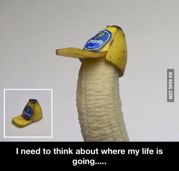 I really do - 9GAG