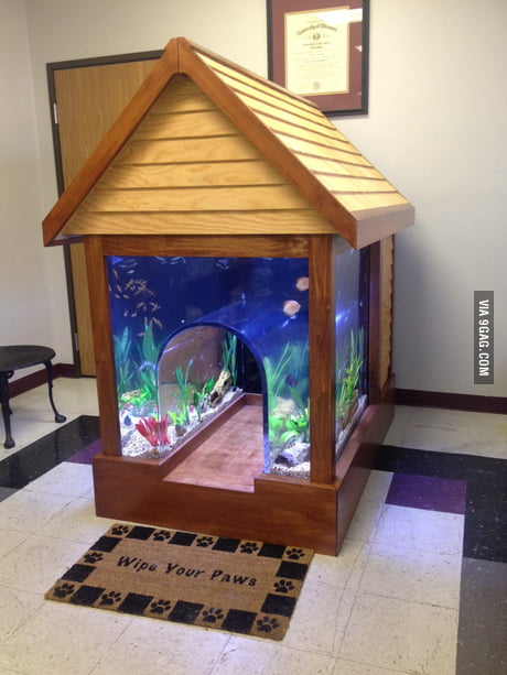 Awesome Fish Tank Dog House 9gag