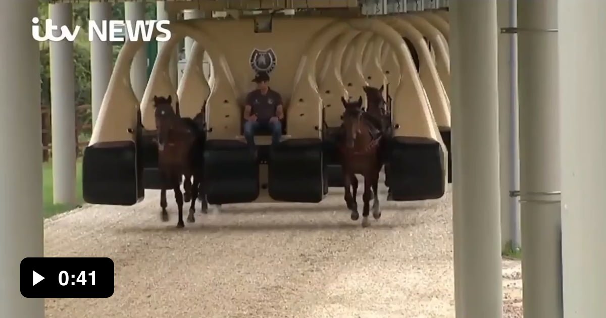 New way to train horses 9GAG