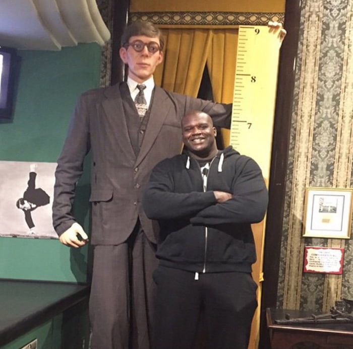 Shaquille O'Neal standing next to a life-size replica of the tallest ...