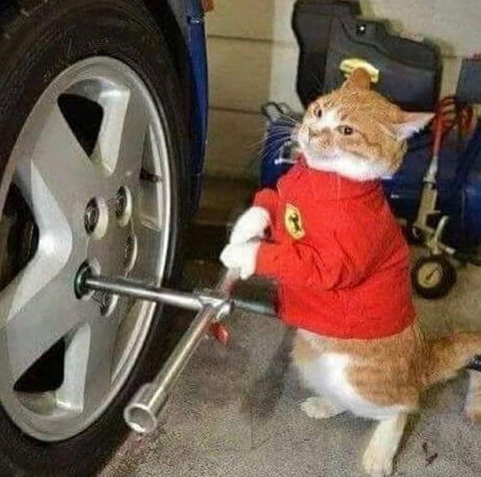 Mechanic Cat Gag