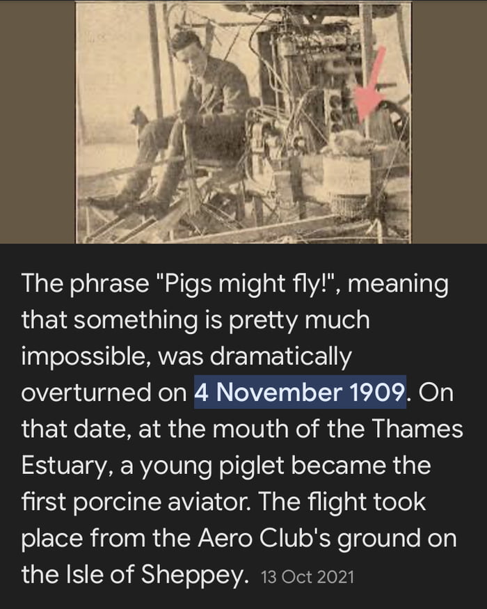 Not Anyone Else Meaning Not Anyone Else Meaning