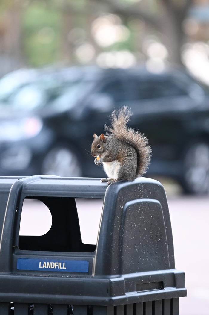Saving items from going to landfill one fry at a time. 9GAG