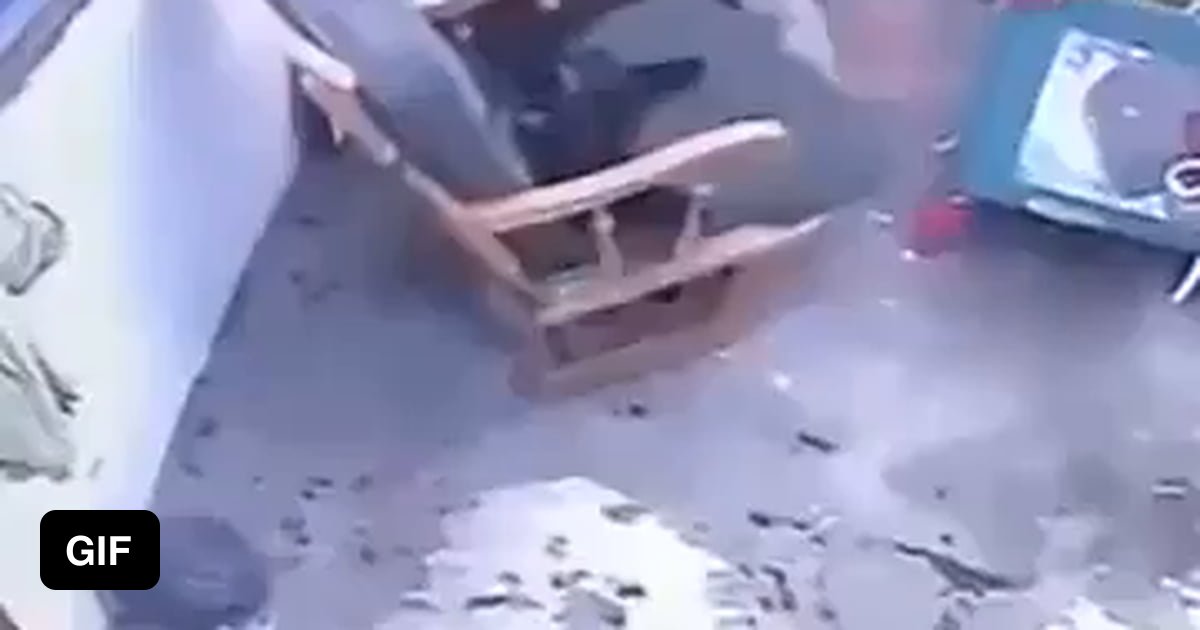 Cat blocks and prevents a baby from crawling to a fatal fall down some