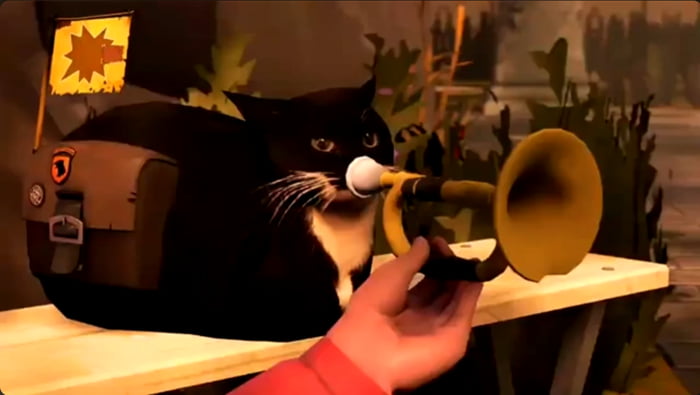 Maxwell Cat Explode Maxwell,the rocket jumping musition - 9GAG