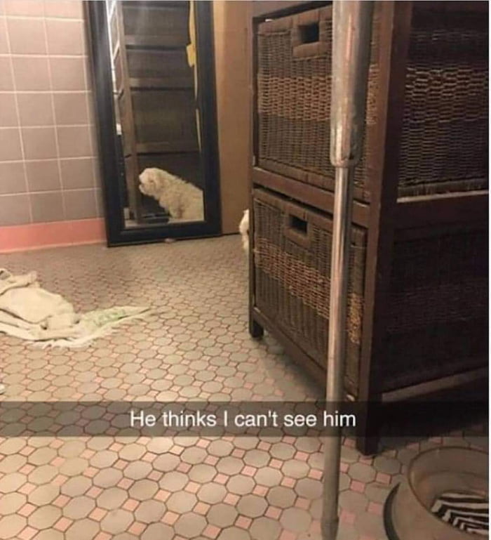 So Sneaky 9GAG So Sneaky 9GAG