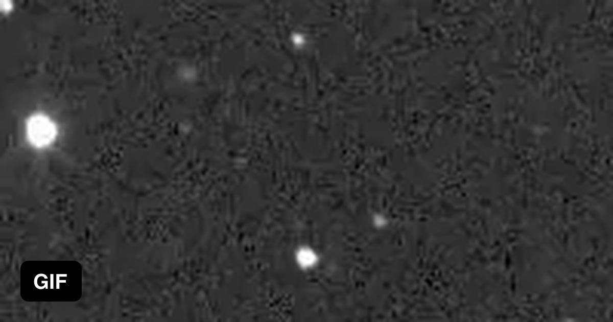 Recent asteroid impact from a distance; ATLAS observations of the DART