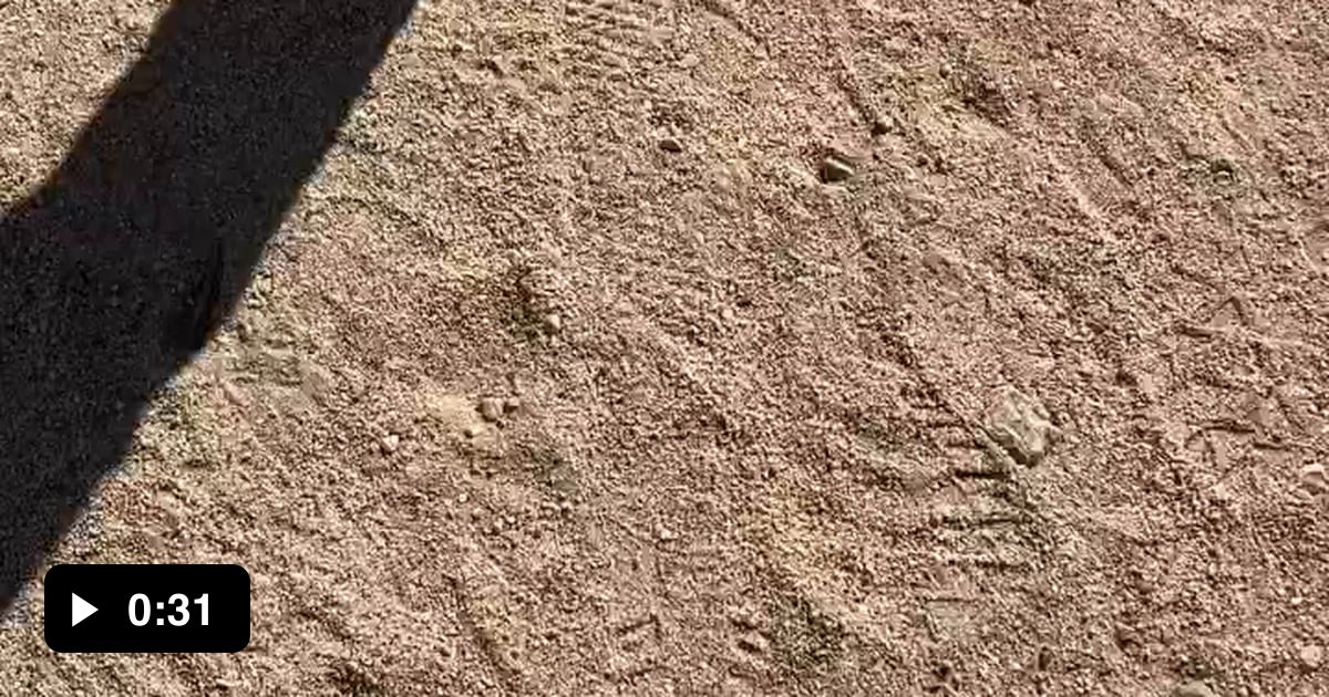 Putain de sa mère la pute 9GAG