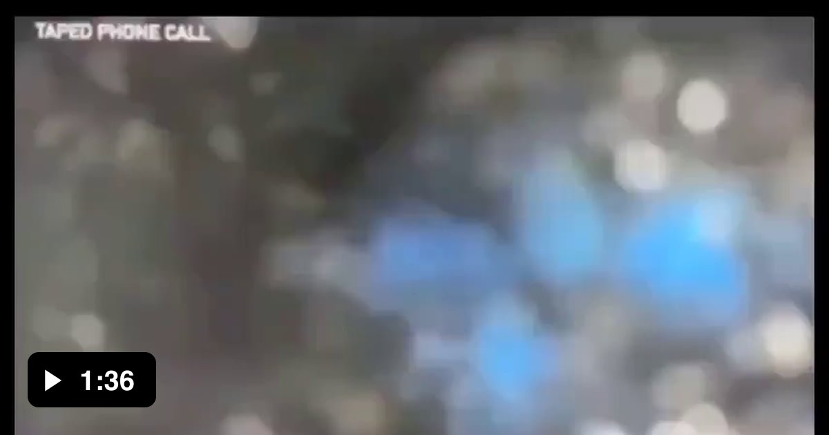 Phone call between Woody Allen and Mia Farrow about their adopted daughter 9GAG