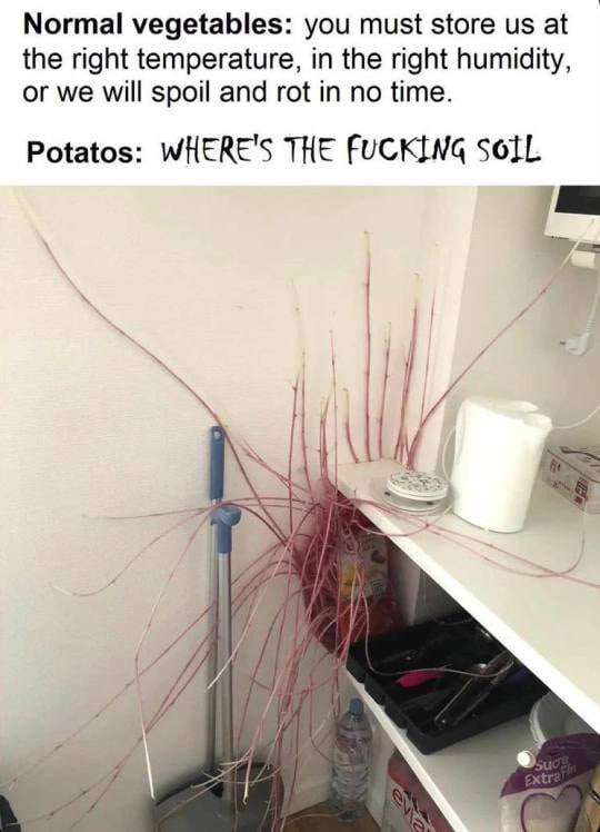 Wheres The Soil