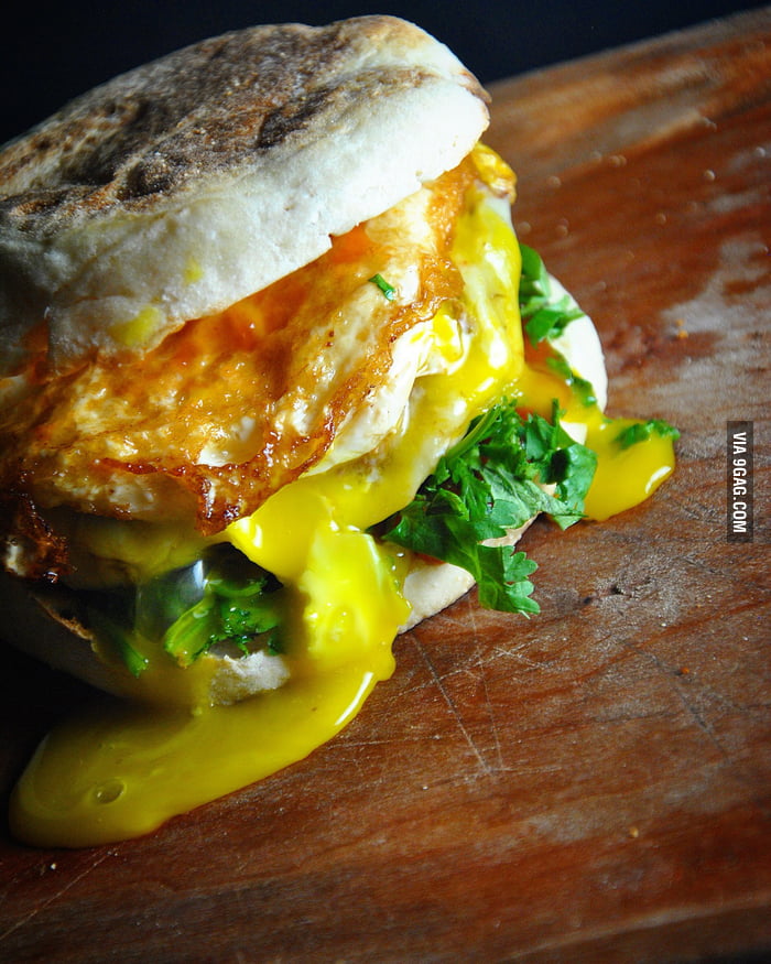 fried-egg-sandwich-9gag