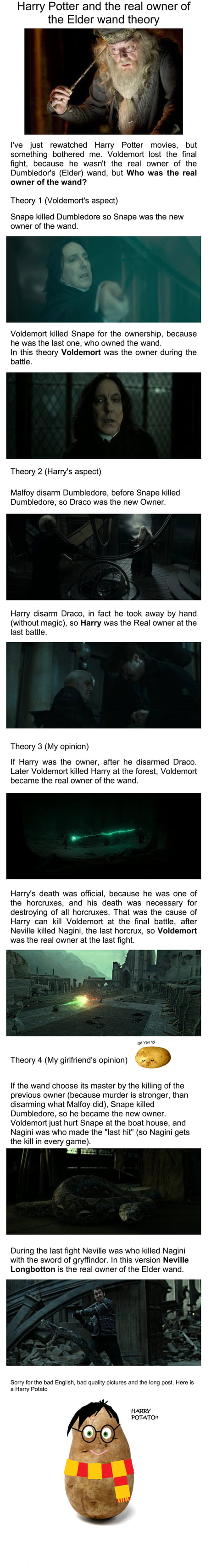 Harry Potter And The Real Owner Of The Elder Wand Theory 9gag