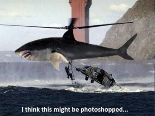 great white shark attack helicopter