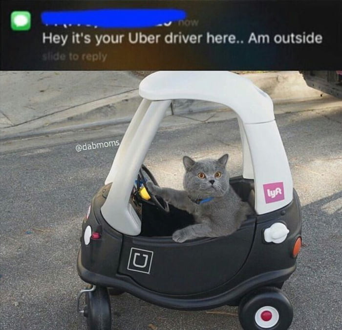 Best Uber ever - 9GAG