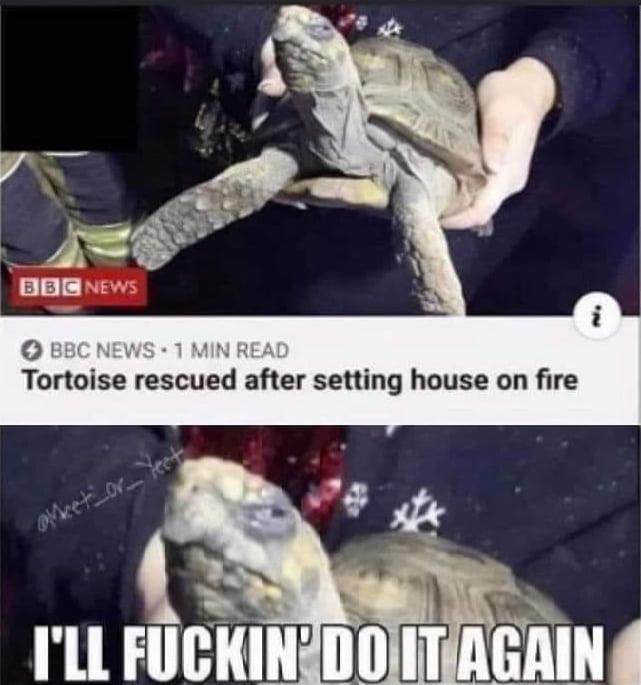 Maybe It Wants To Commit Sudoku 9GAG