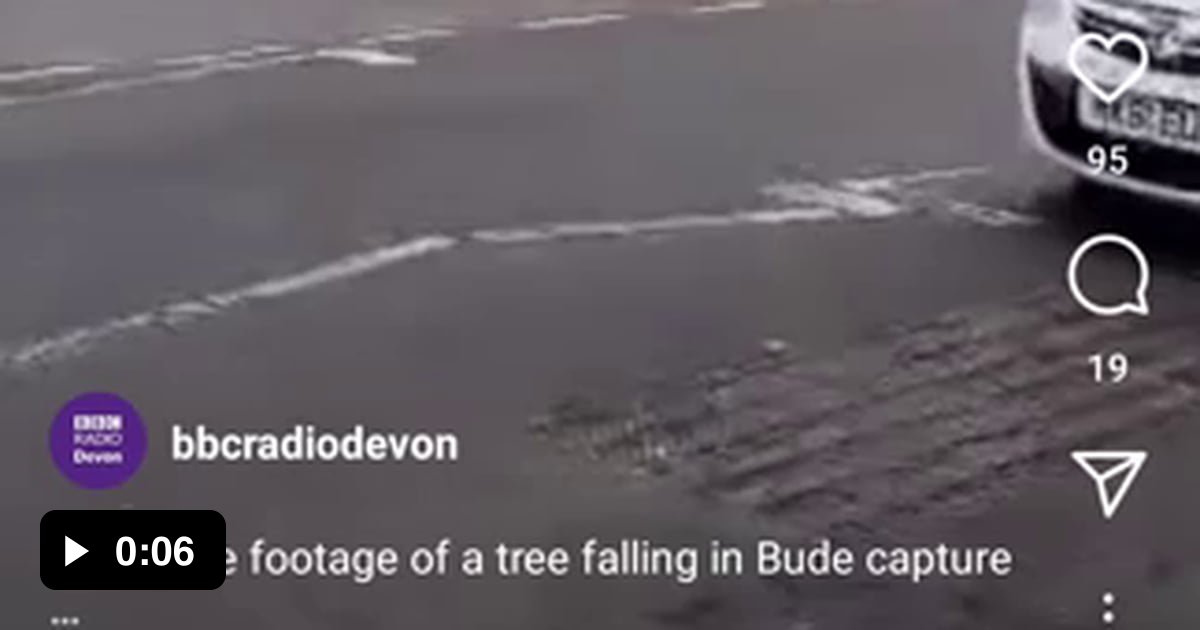 Tree falling in UK Storms, Feb 18th in Bude. 9GAG