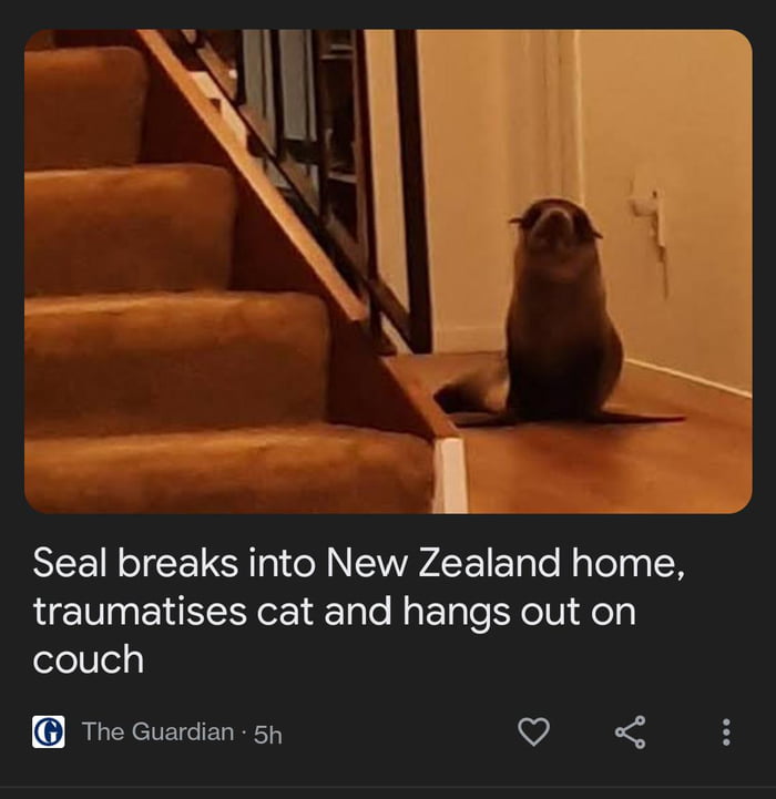 New Zealand Seal, Breaker and Enterer, Traumatizer of Cats, Usurper of ...