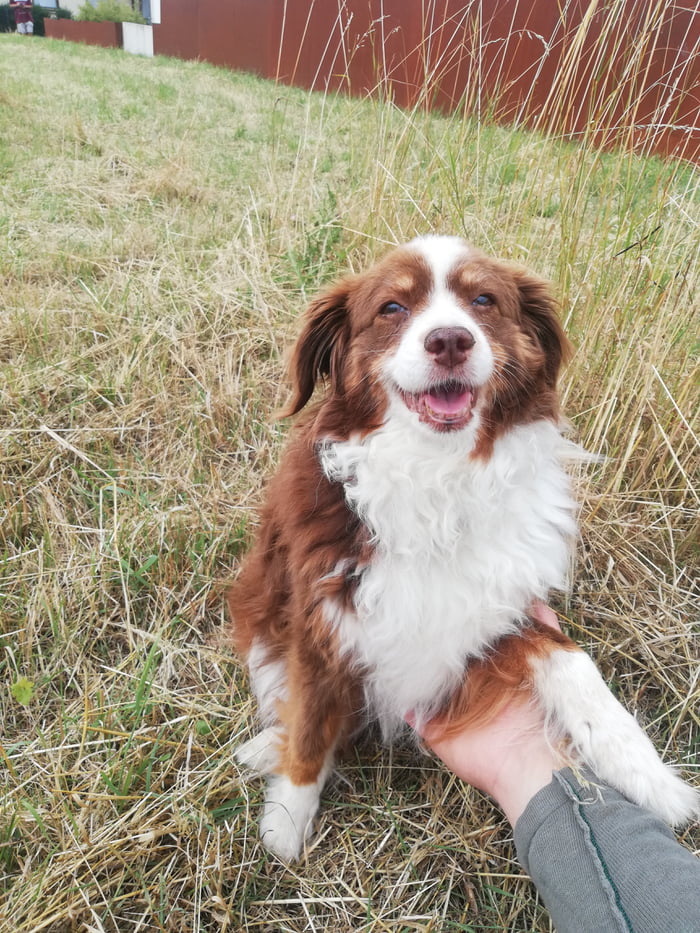 We had to put down and bury our bestest girl today, 13years of love and