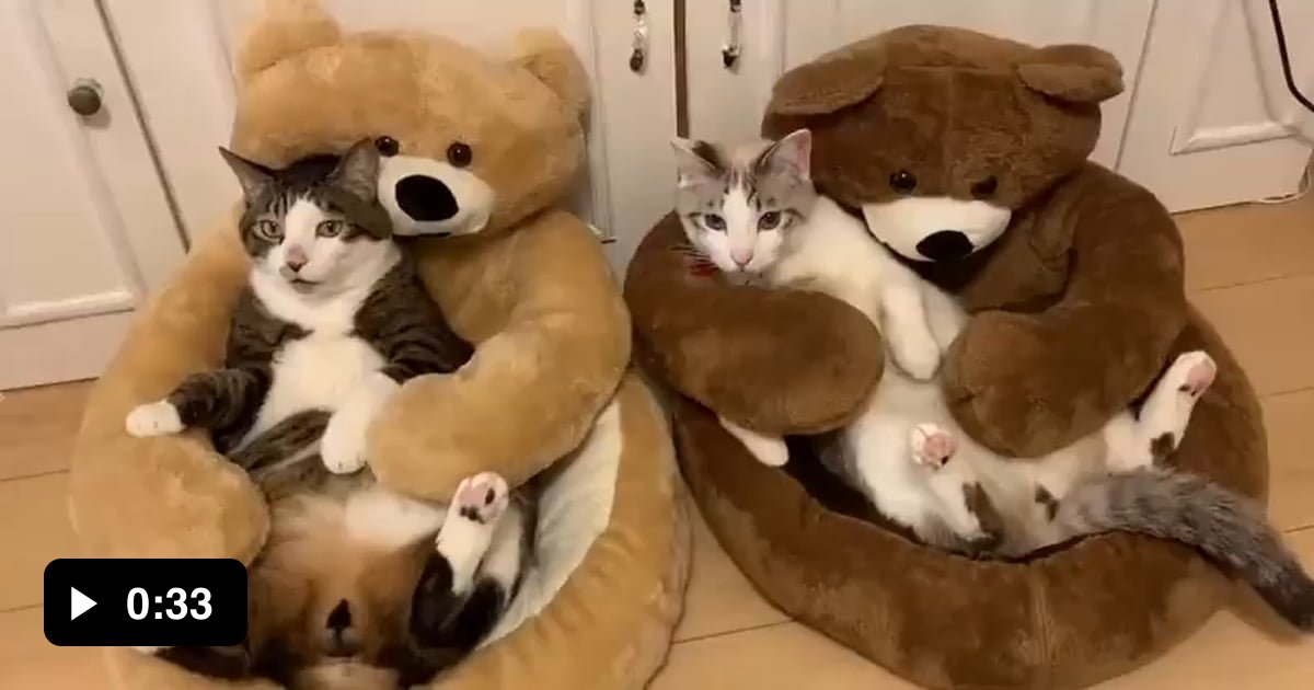 Best cuddle couch ever 9GAG