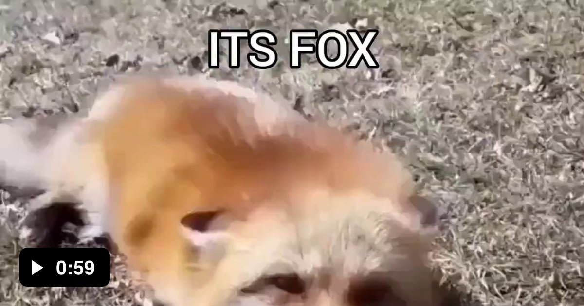 ITS FOX FRIDAY - 9GAG