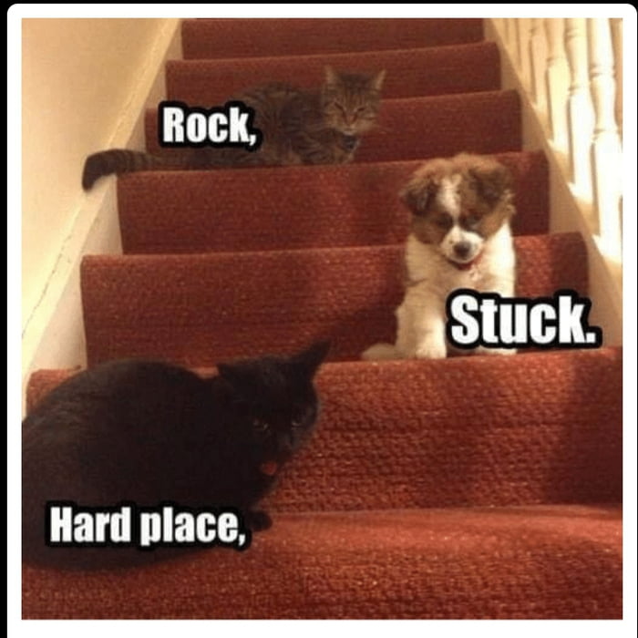 Stuck Between A Rock And A Hard Place 9GAG