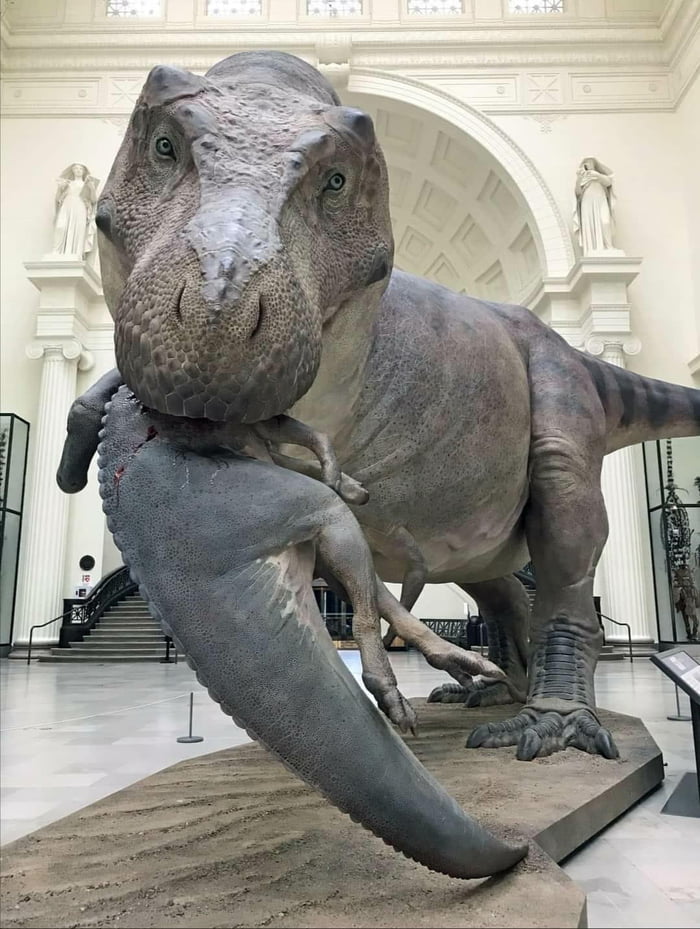 The new model of SUE the TRex made by Blue Rhino Studio. It's one of the  most up to date representation of a TRex and even has scars on the leg where