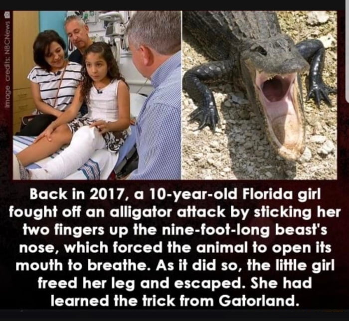 How to escape from an alligator 9GAG