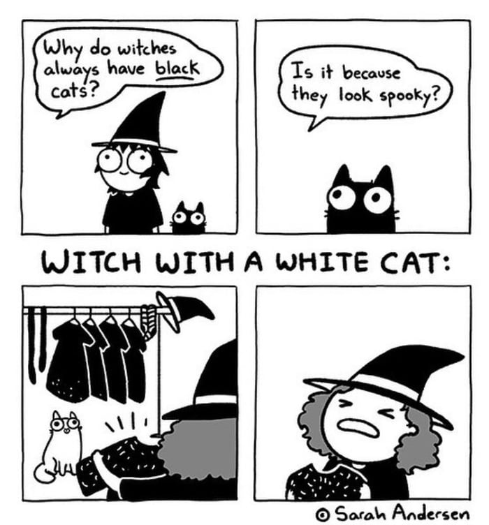 Witches go meow - 9GAG