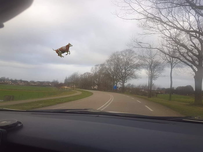 Storm in the Netherlands 9GAG