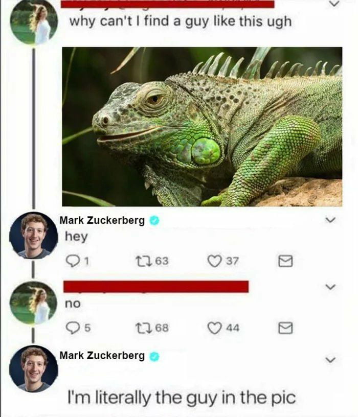 You must succ the zucc - 9GAG