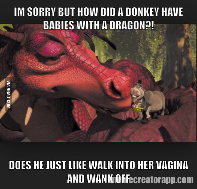 Meme About How The Dragon And Donkey Had Babies In Shrek 9gag