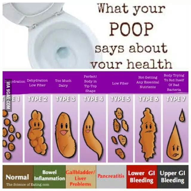 What Does Your Poop Says 9gag