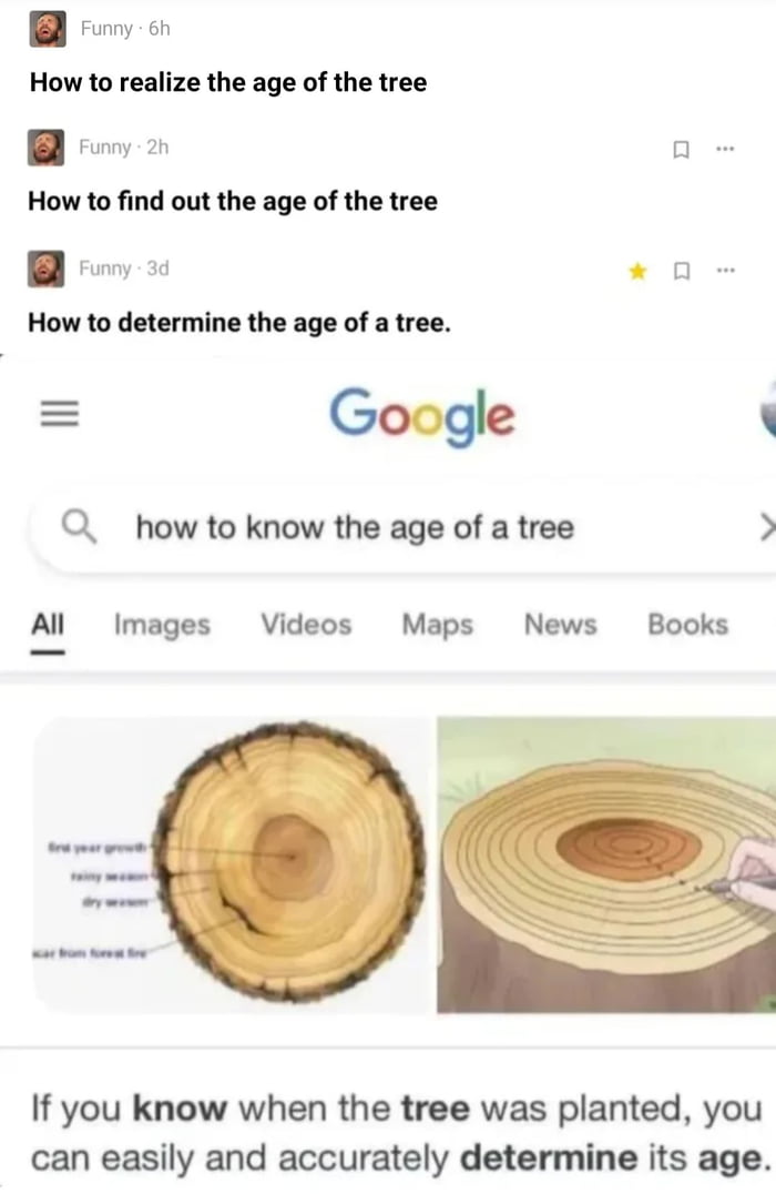 How to identify the age of the tree 9gag