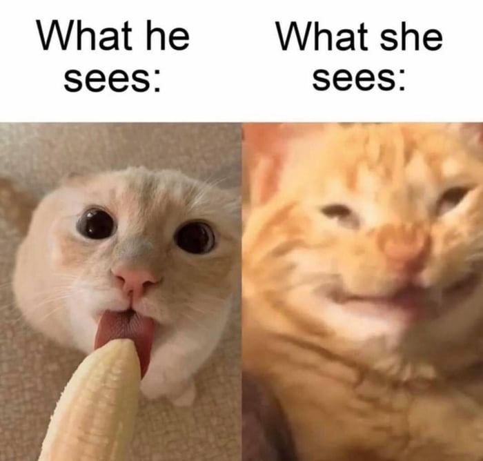Обман мозга. Что видит он и что видит. Что видит она мем. Что видит он и что видит. Мемы отсосать.