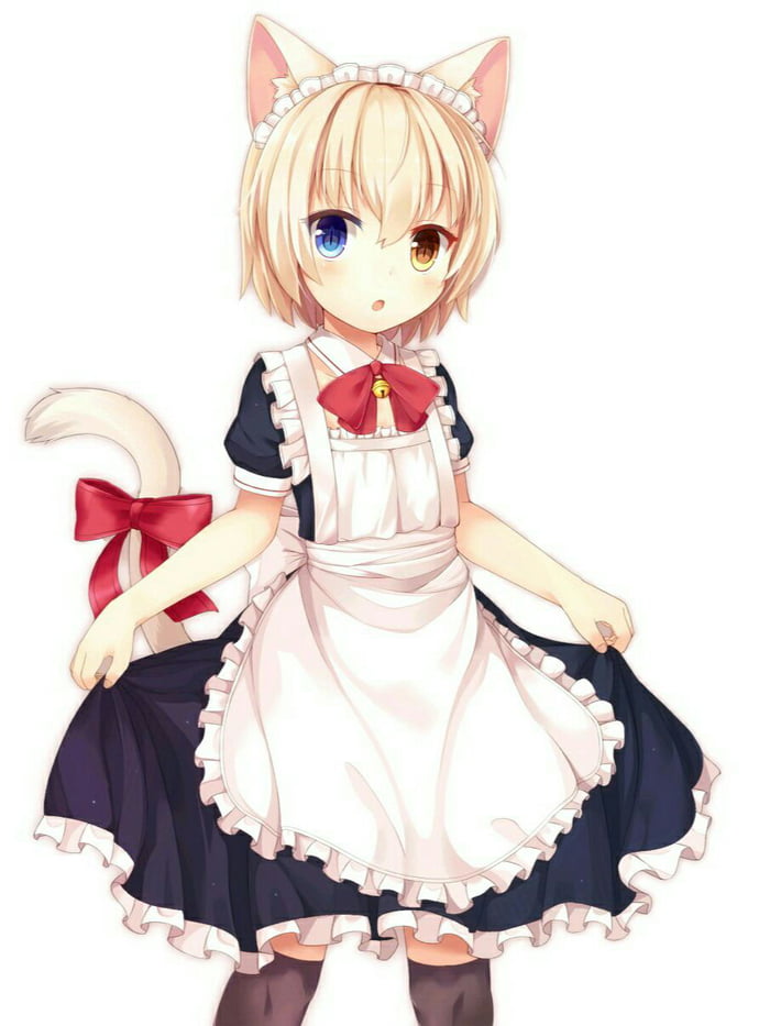 Cat girl maid anime