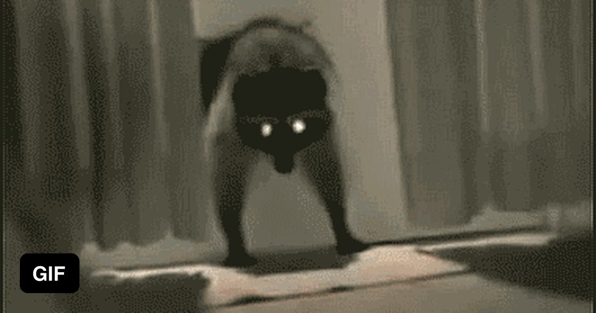 상업지 Imgur