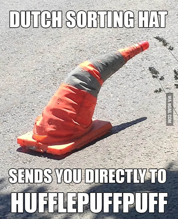 Not Slytherin, not Slytherin... 9GAG