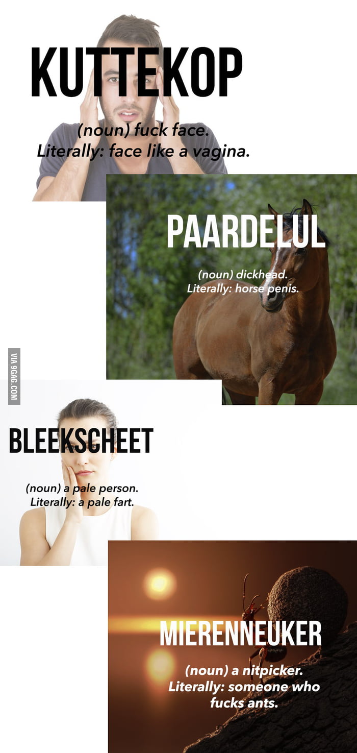 A Few Dutch Swear Words Literally Translated In English 9GAG