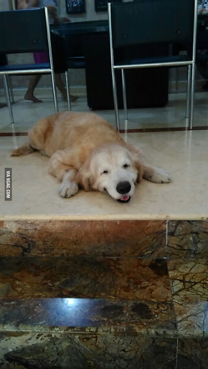 13 years old and still keep on smiling - 9GAG