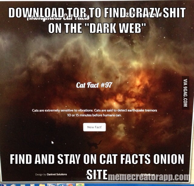 The only proper use of the deep web - 9GAG