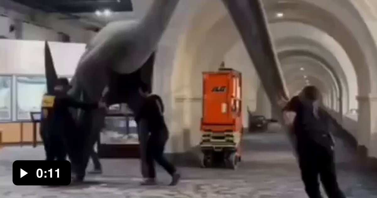 This Creature Is Called Quetzalcoatlus And It s A Largest Flying quetzalcoatlus-the-largest-flying-animal-ever-to-live-dinosaur