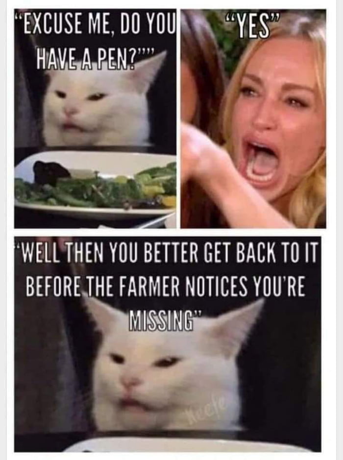 9gag is for memes - 9GAG image.