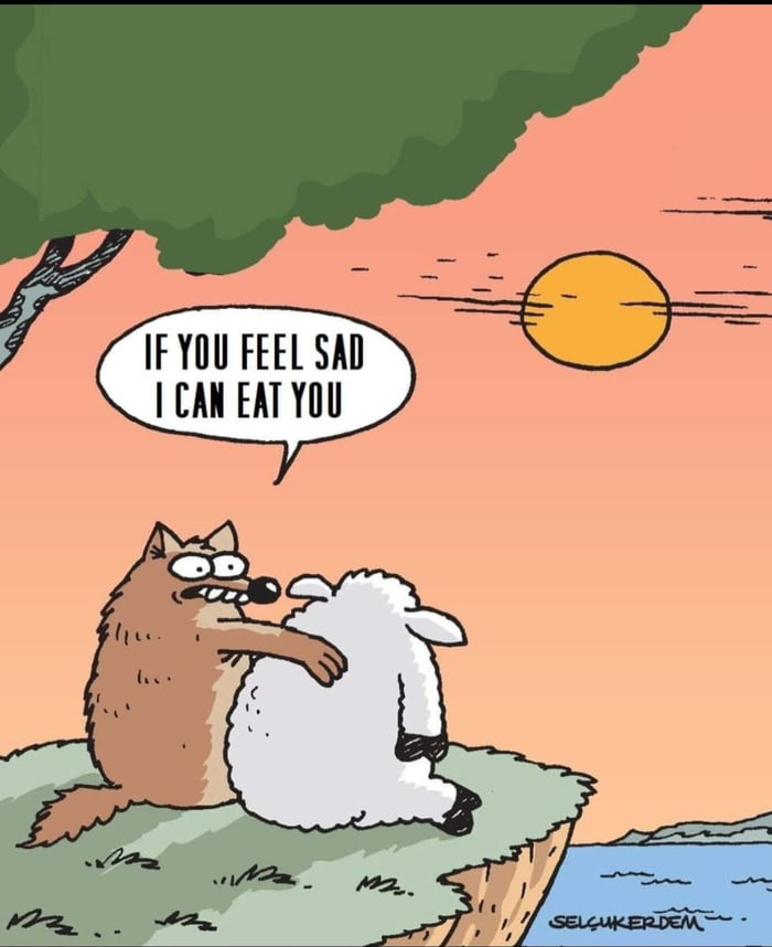 Sensitive Wolf - 9GAG