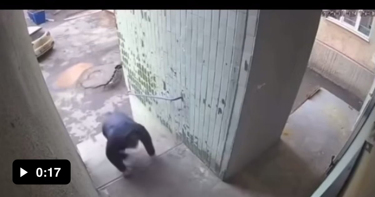 Milliseconds From Death 9GAG milliseconds-from-death-9gag